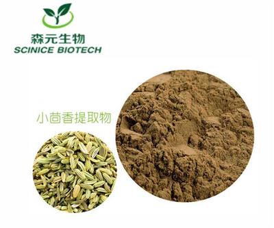 小茴香提取物10:1 纯天然植物力量，厂家直供批发新选择