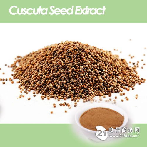 西安旭煌生物高水溶菟丝子粉 10 1提取物优选解析与行情展望