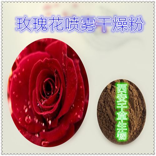 玫瑰花浸膏粉 厂家生产动植物提取物定做浓缩浸膏