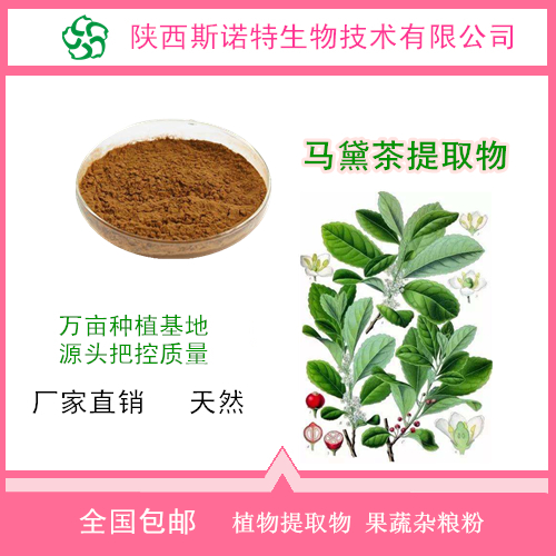 马黛茶速溶粉 马黛茶提取物 固体饮料代加工