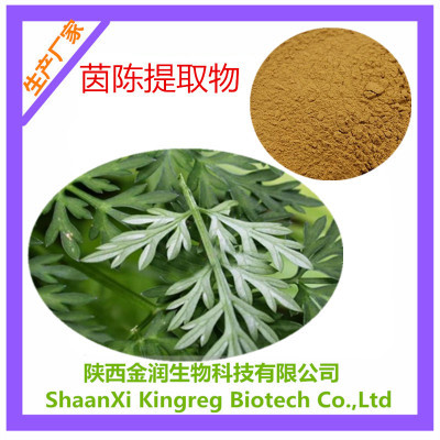 植物提取物-厂家直销 茵陈提取物 白蒿/绒蒿/茵陈内酯 10:1 比例提取现货包.